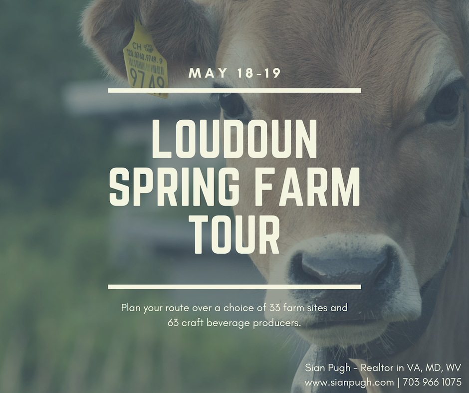 LOUDOUN SPRING FARM TOUR Siân Pugh