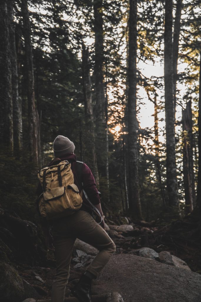 hiking northern virginia 